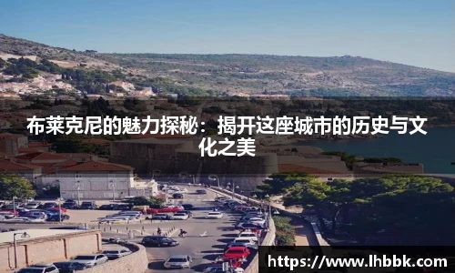 布莱克尼的魅力探秘：揭开这座城市的历史与文化之美