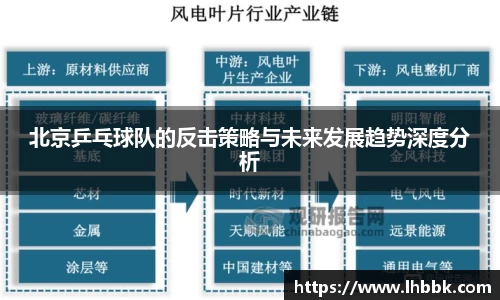 北京乒乓球队的反击策略与未来发展趋势深度分析